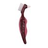 Zanthicia Denture Cleaning Brush view 1