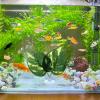 baabeash Betta Leaf Aquarium Decor view 2