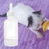 Portable Milk Feeding Bottle for Kittens, 118 ml view 3