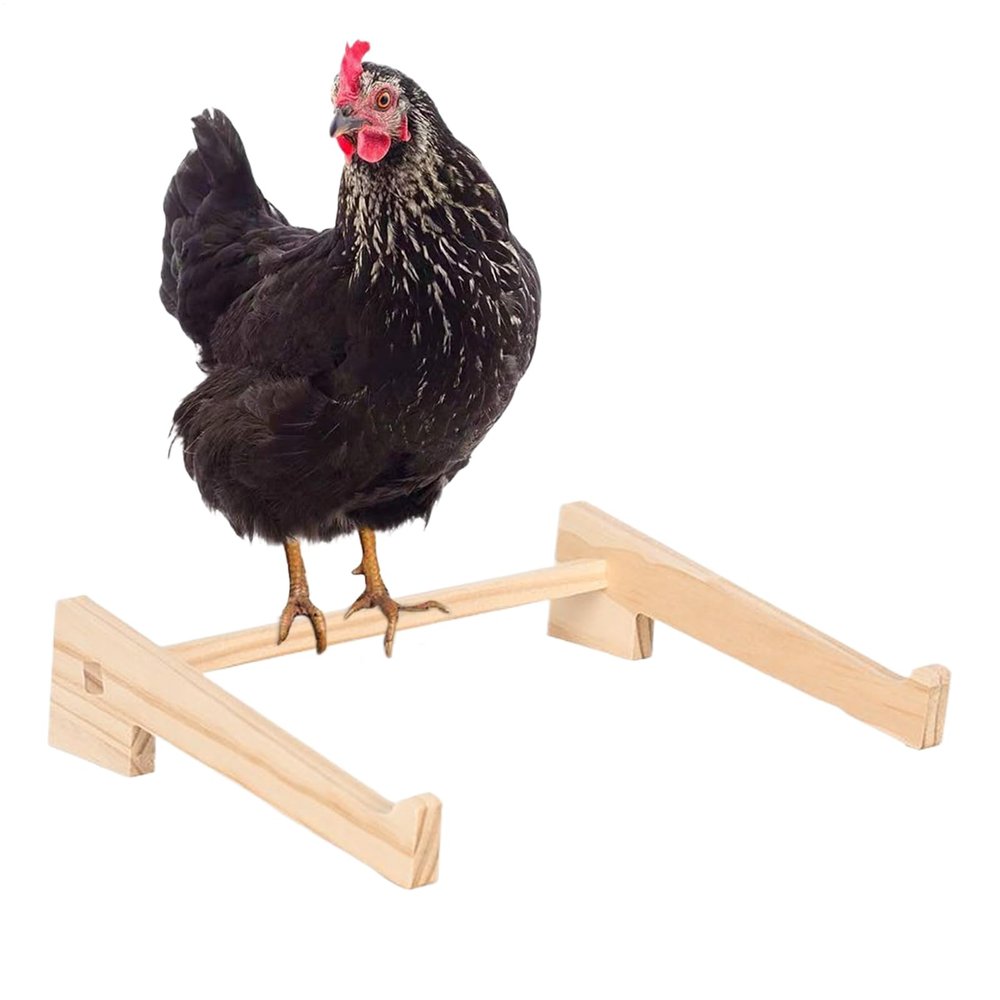 Chicken Perch, Wood, for Chickens, Poultry, Birds, Sitting, Training, Support, Nesting, Coop