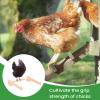 Chicken Perch, Wood, for Chickens, Poultry, Birds, Sitting, Training, Support, Nesting, Coop view 3