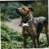 SEWACC 6-Piece Bone-Shaped Dog Tags view 4