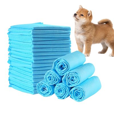 Puppy Training Pads - 100 Count