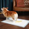 Puppy Training Pads - 100 Count view 3