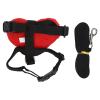 Rabbit Harness and Leash Set with Heart Decoration, Red view 4