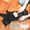 Gwtdtoad Cat Brush for Indoor Cats - Massage Grooming Tool view 2