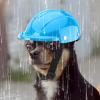 Dog Bicycle Helmet - Windproof Breathable Protection for Outdoor Activities view 3