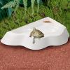 Reptile Bathing Basin with Non-Slip Ramp view 2