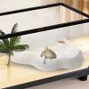 Reptile Bathing Basin with Non-Slip Ramp view 3