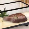 Generic Turtle Basin, Non-Slip Bowl with Rough Ramp view 3