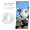 COOPHYA Pigeon Identification Rings - 10mm, 100 Pieces view 4