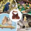 Adjustable Vintage Bird Vest for Small Pets view 4