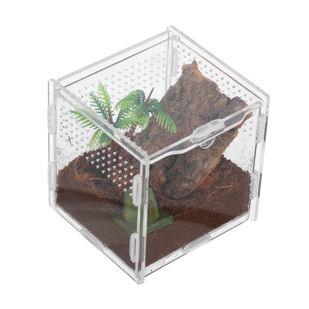 jojofuny Compact Acrylic Jumping Spider Terrarium, Stackable Clear Reptile Box