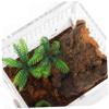jojofuny Compact Acrylic Jumping Spider Terrarium, Stackable Clear Reptile Box view 3