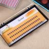 Asixxsix False Eyelash Extensions, Soft Fans for Volume Technique, Knot-Free, 60-Piece, 6 mm view 2