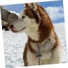 NUOBESTY Brass Pet Bell Pendant, Versatile Durable Dog Charm, Keychain and Decorative Accessory for Home and Outdoor Use view 4