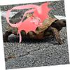 iBasenice Turtle Harness and Leash view 3