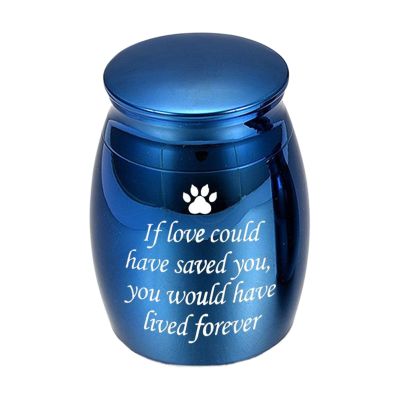 LIXSAZSE Metal Small Animal Urn, Blue