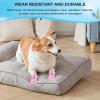 Pavsicgn Non-Slip Dog Shoes - Outdoor Dog Boots for Walks view 2