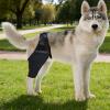 Saituo Home Elbow Support for Dogs - Adjustable, Black view 4
