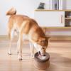 Floating Water Bowl for Small & Medium Dogs, Drip-Free, Large Capacity view 2