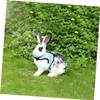Levemo Nylon Rabbit Leash with Waterproof Soft Harness - Blue L view 4