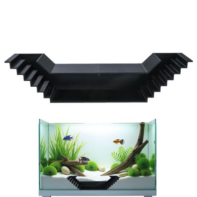 Aquarium Tunnel