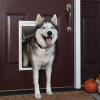 Dog Door with Extra-Large Opening for Golden Retrievers, Huskies, and Large Dogs view 2