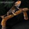 Artificial Resin Branch for Chameleons view 3