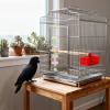 Bird Cage Toy, Multifunctional Chew Toy for Large Birds view 2