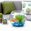 Fish Bowl - Shatterproof Storage Container view 2