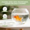 Mini Fish Bowl Desktop Aquarium Betta Tank view 4