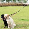 PLUSHCEWT Double Leash for 2 Dogs view 4