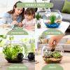 Mini Fish Bowl, Clear ABS Aquarium Bowl view 4