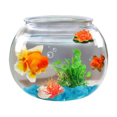 Bubble-Shaped Shatter-Resistant Aquarium Fish Bowl for Home and Party Table Decor