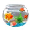 Bubble-Shaped Shatter-Resistant Aquarium Fish Bowl for Home and Party Table Decor view 1