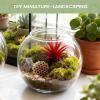 Bubble-Shaped Shatter-Resistant Aquarium Fish Bowl for Home and Party Table Decor view 2