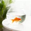 Bubble-Shaped Shatter-Resistant Aquarium Fish Bowl for Home and Party Table Decor view 3