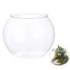 Fish Bowl - Shatterproof Aquarium Container view 4