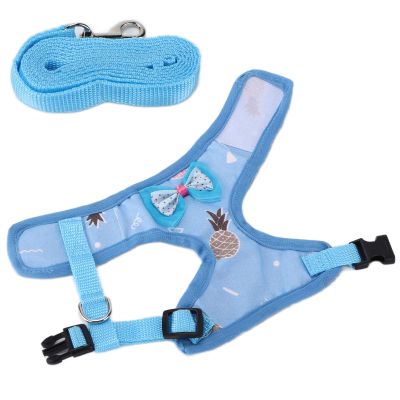 HEEPDD Adjustable Pet Chicken Leash Harness, Blue Pineapple