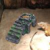 Generico Hermit Crab Habitat view 3