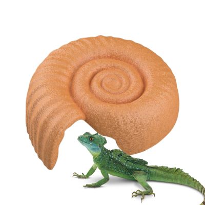 Ammonite Shaped Snake Hide