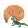 Ammonite Shaped Snake Hide view 1