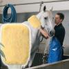 Pet Grooming Gloves view 3