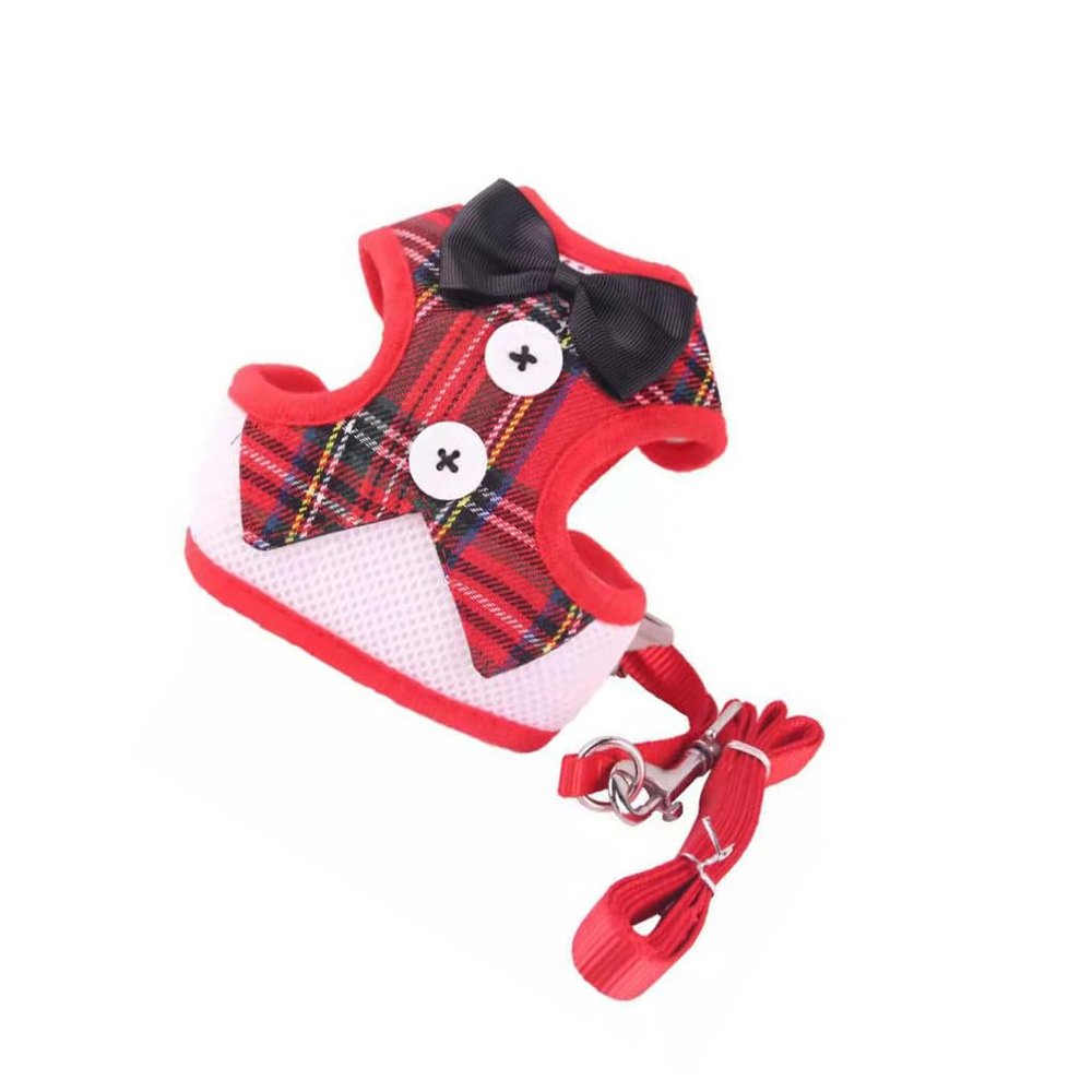 AMSLSIU Puppy Harness and Leash Set