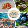 Full-View Turtle Habitat with Multi-Function Areas view 4