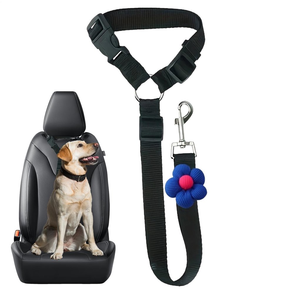 Dog Safety Belt | Retractable Safety Leash for Large Dogs - Suitable for Small to Medium Sized Kittens and Puppies