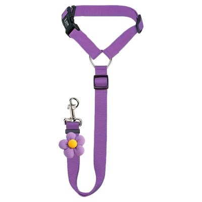 Dog Safety Belt | Heavy-Duty Retractable Leash