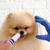 NOLITOY 6-Pack Soft Finger Toothbrushes for Dogs and Cats view 4