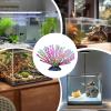 Aquarium Coral Decoration - Realistic Softscape Design view 4